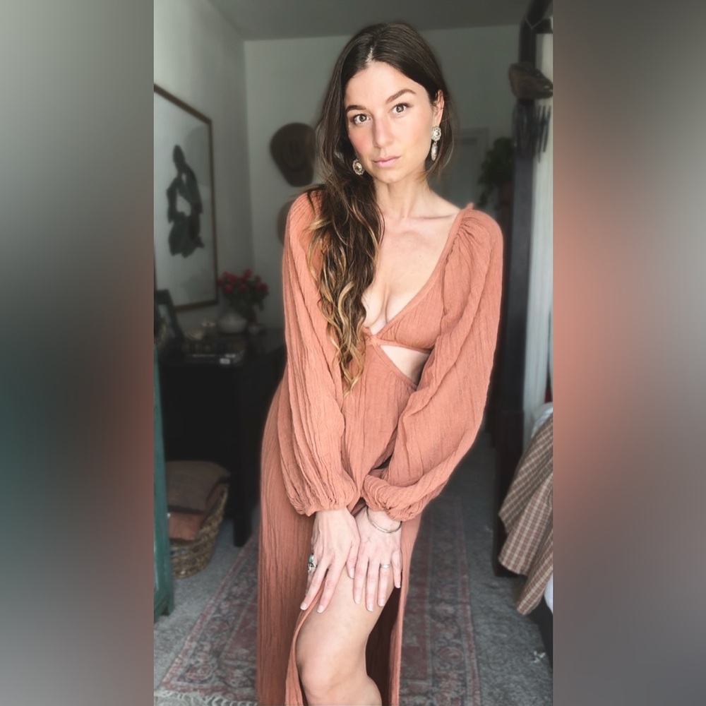 Gauzy Terracotta Dress